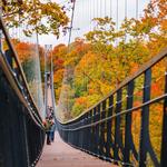 SkyBridge Michigan