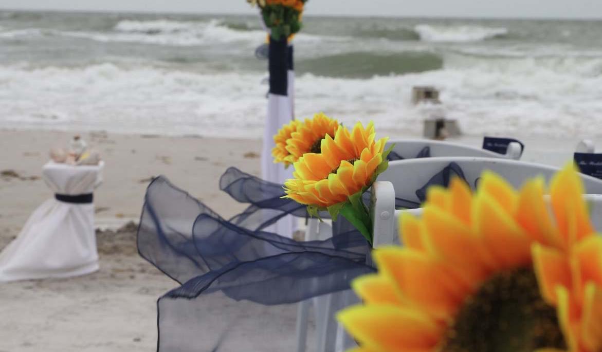 Footer image