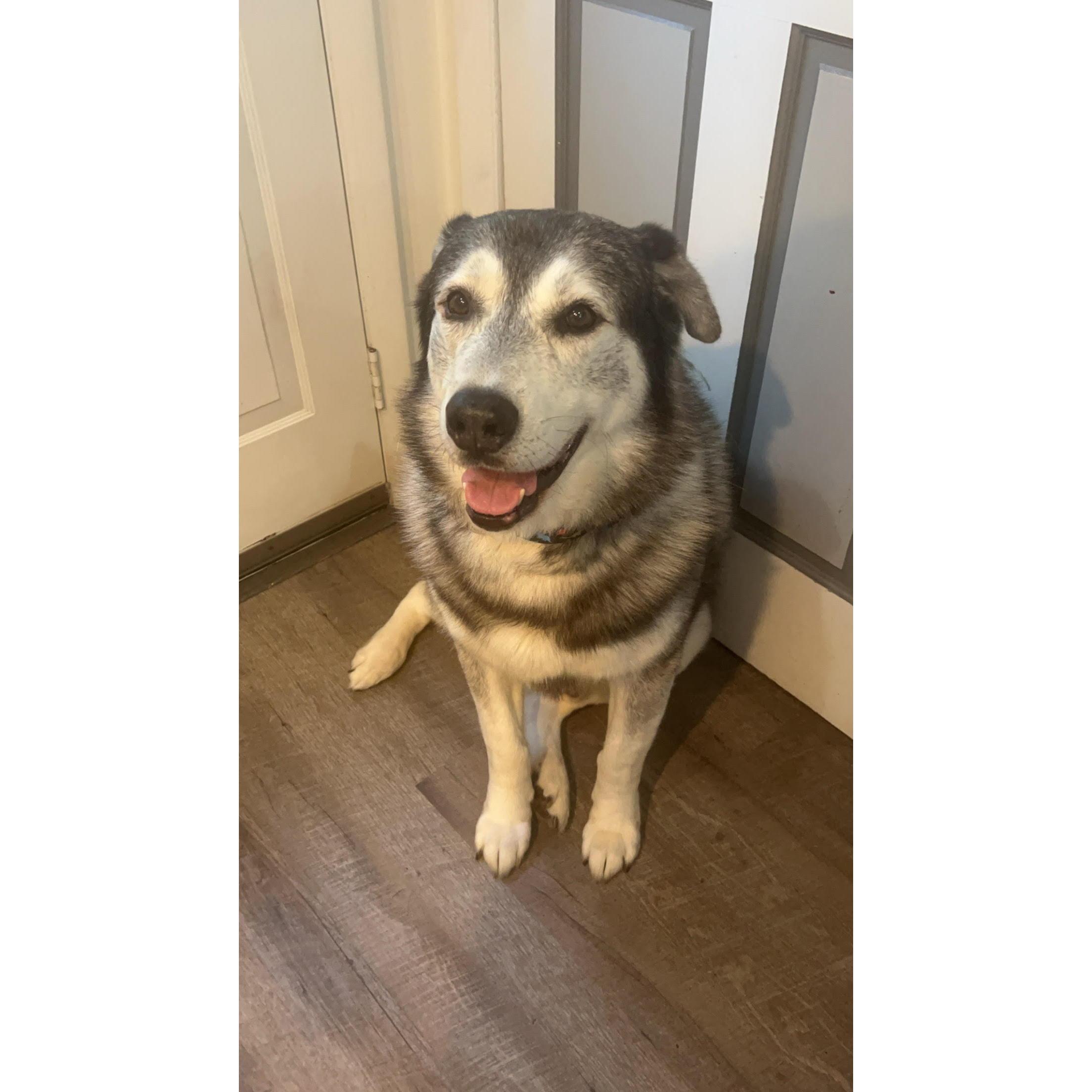 The best boy, Lykin