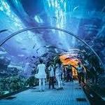 Georgia Aquarium