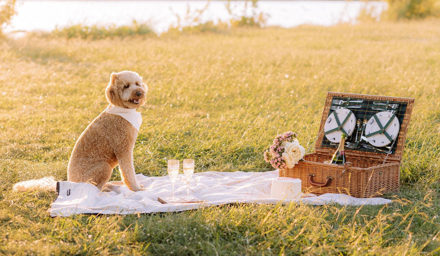 Footer image