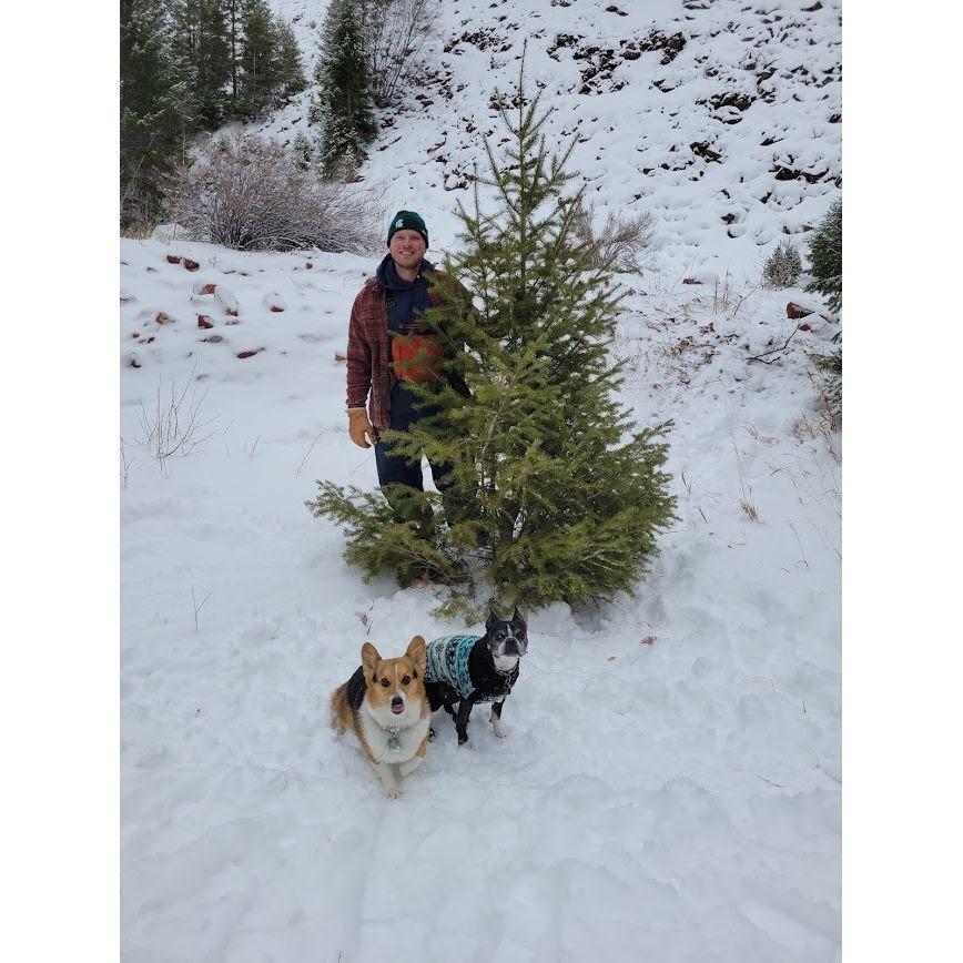 Christmas tree hunting