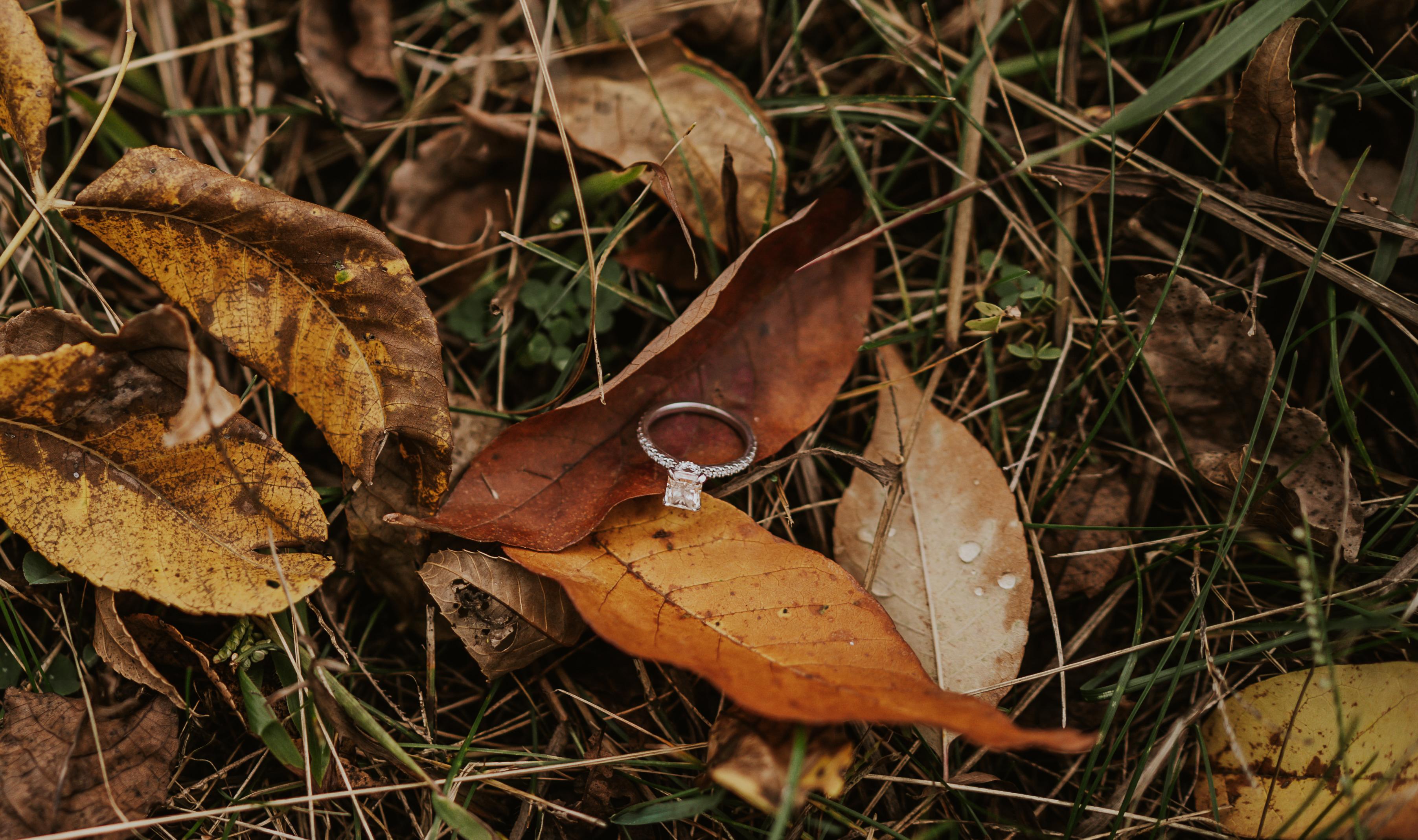 The Wedding Website of Kaitlyn Hayes and Joshua Miller-McMahon