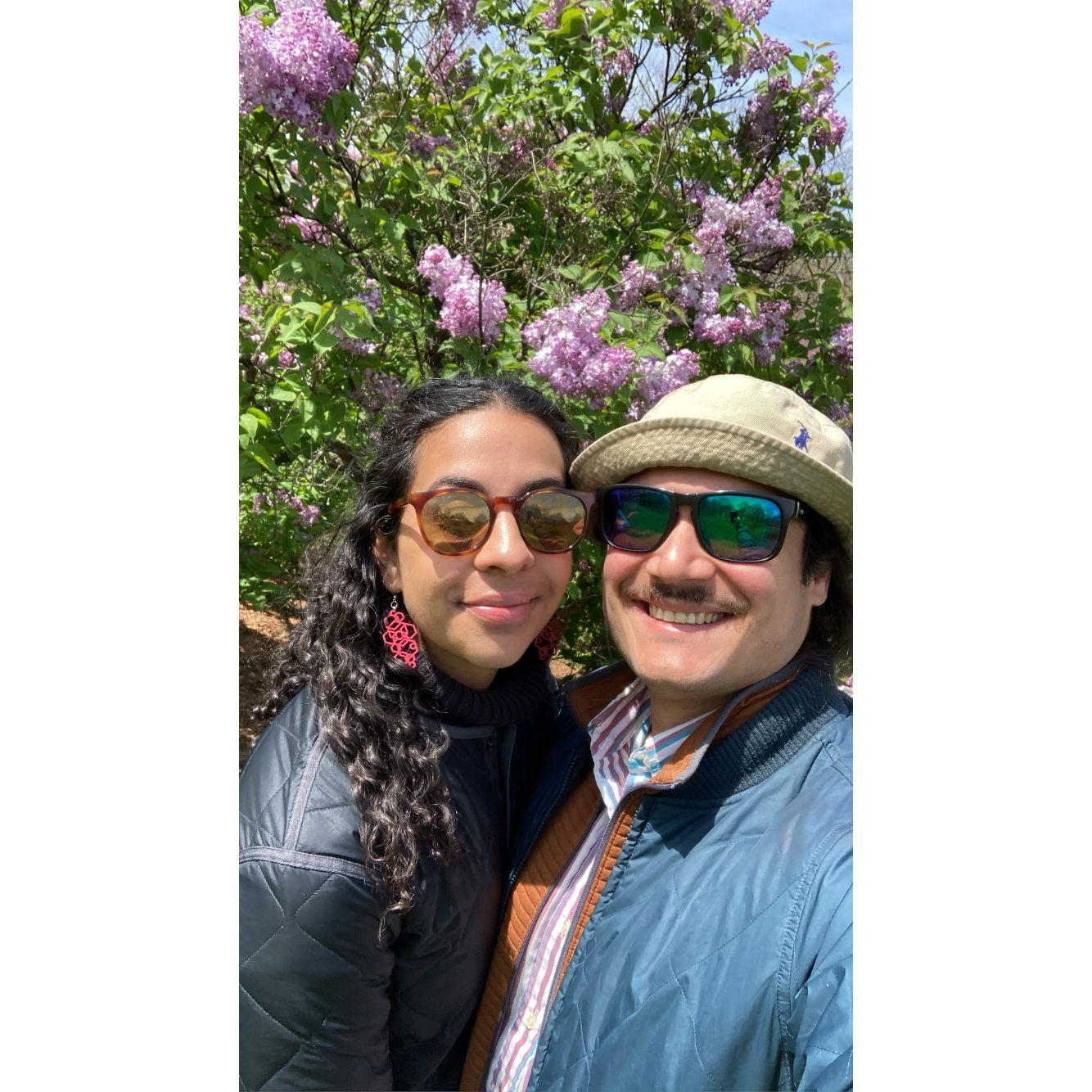 Lilac Festival at Arnold Arboretum, May 2022