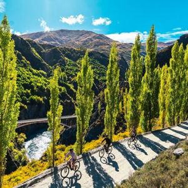 E-Bikes & Wine Tasting in Queenstown