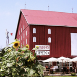 Sugarloaf Mountain Vineyard