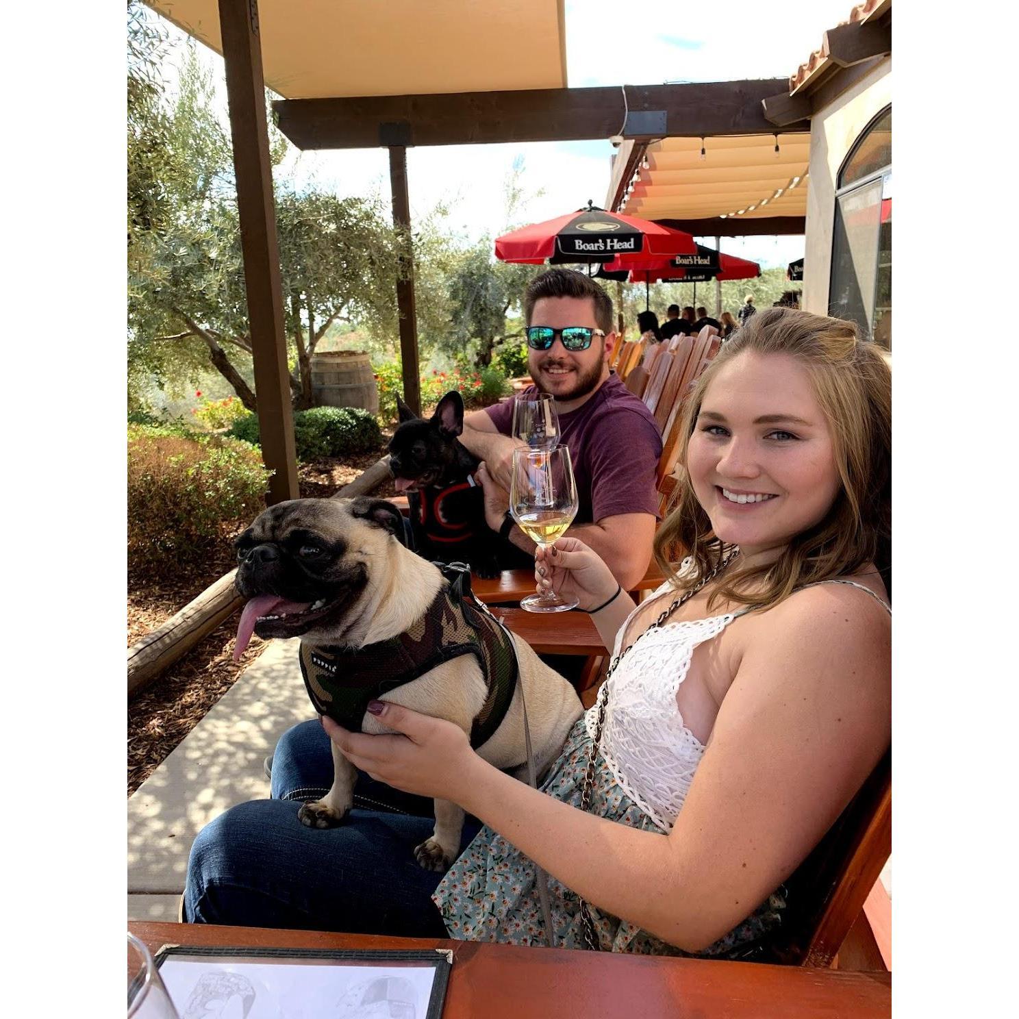 Wine Tasting with the pups 2019