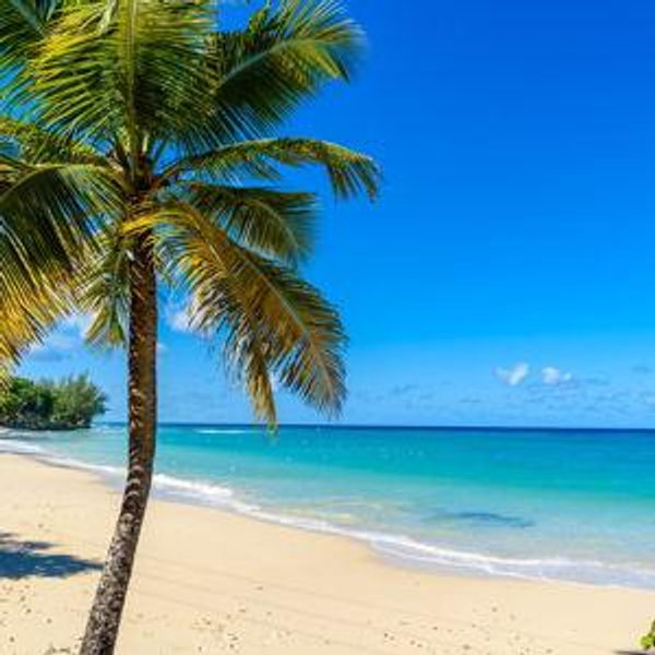 Barbados Fund