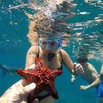 Snorkeling Cabo - VistBalandra