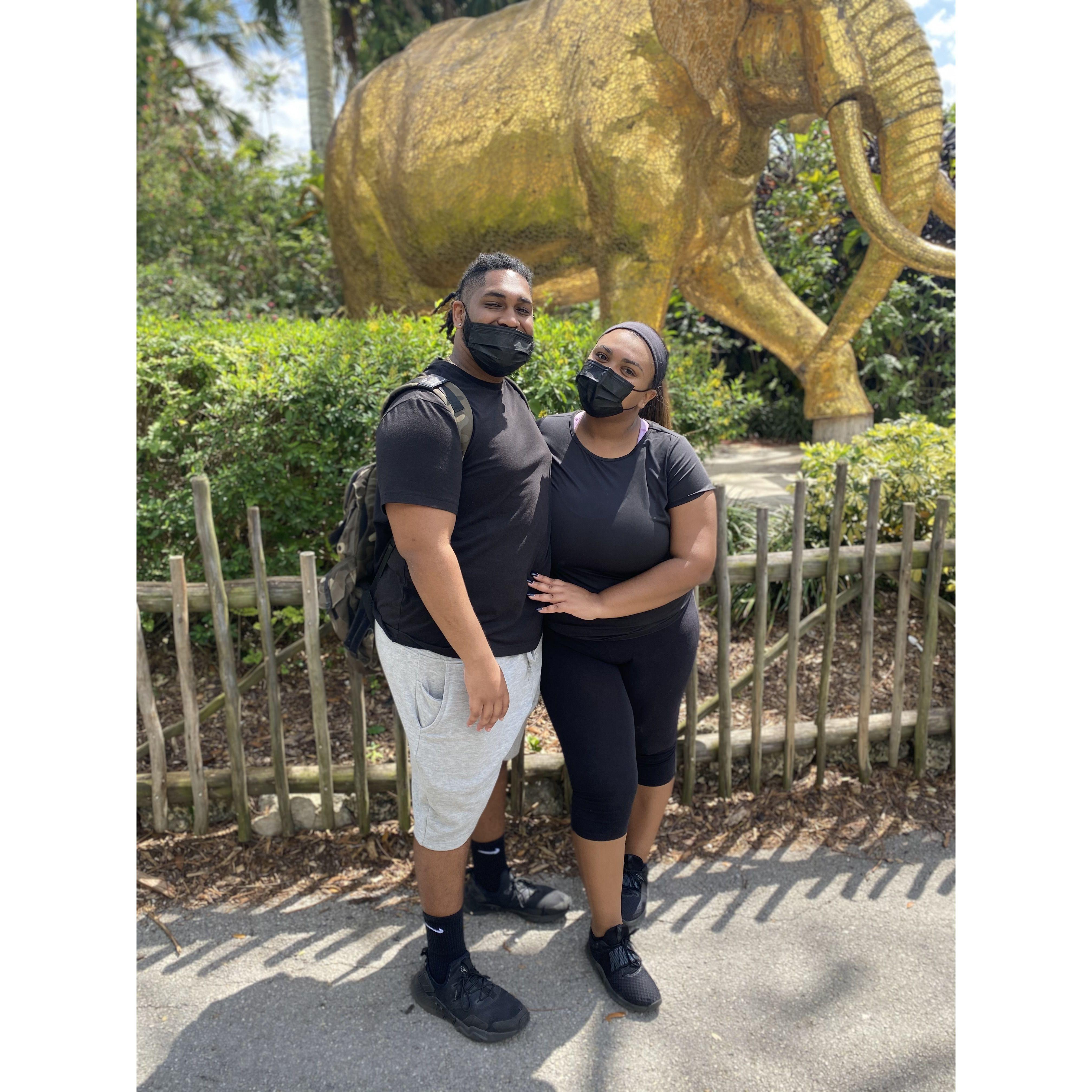 Tampa Zoo