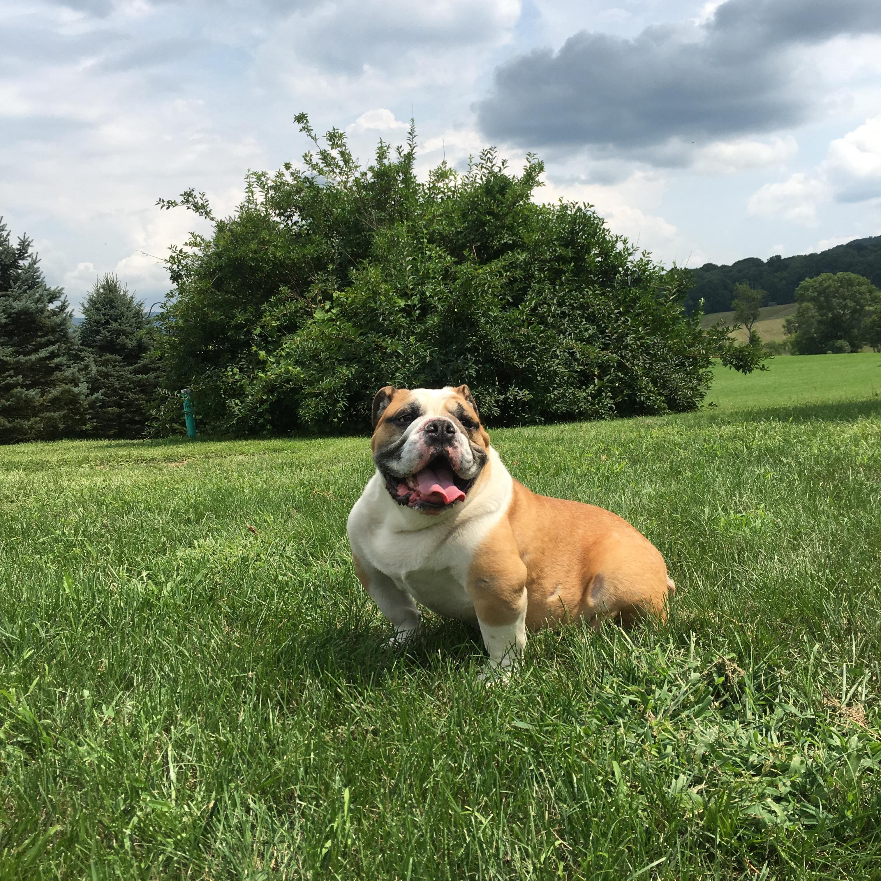 I am the king of the country