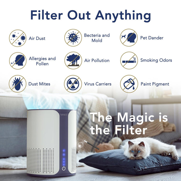 Miko, Air Purifier with Essential Oil Diffuser | Zola