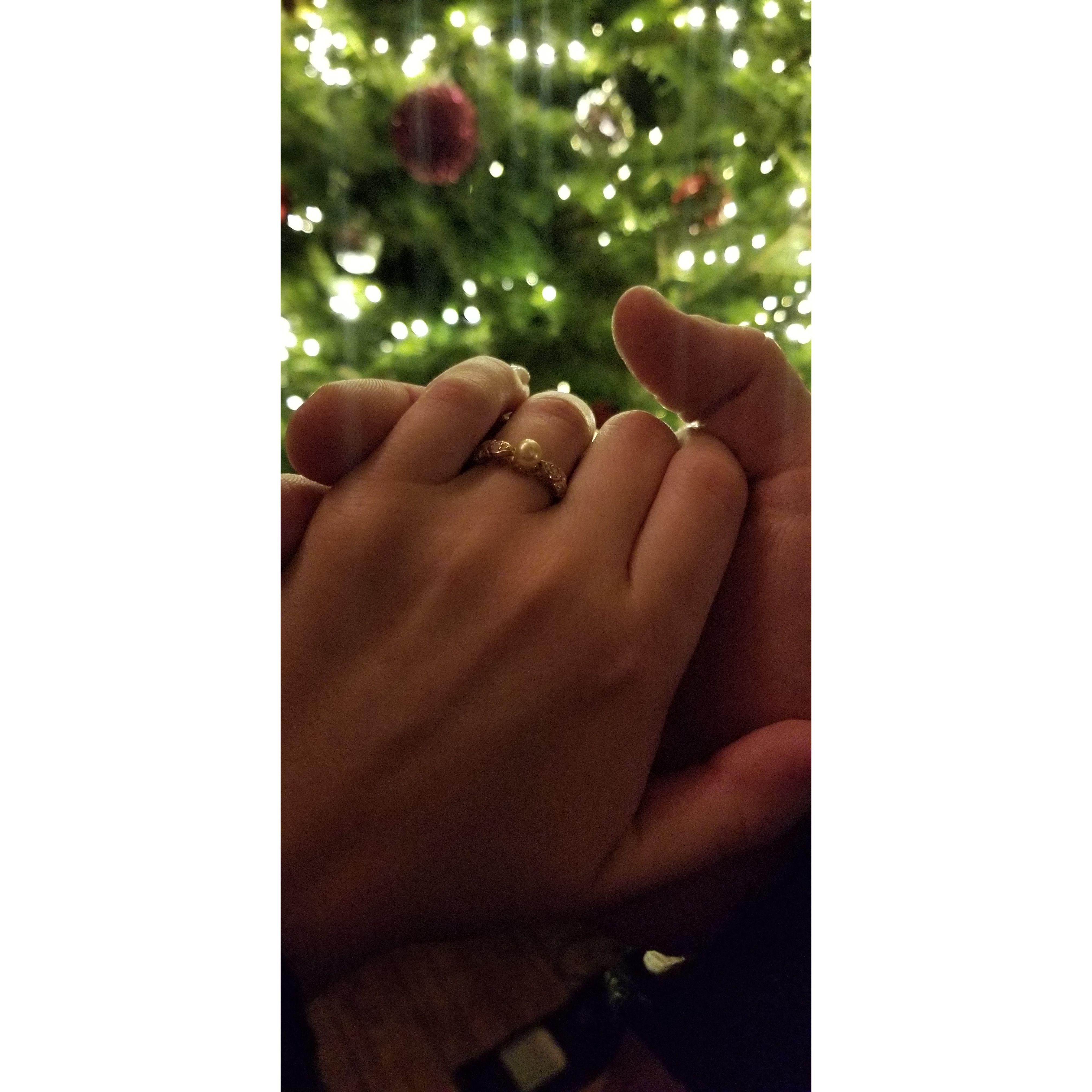 Our storybook engagement in Quebec City, December 2024