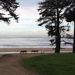 Black's Beach