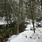 Hickory Run State Park - Shades of Death Trail