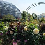 Garfield Park Conservatory