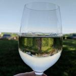 Brew Bus Wine or Beer Tour