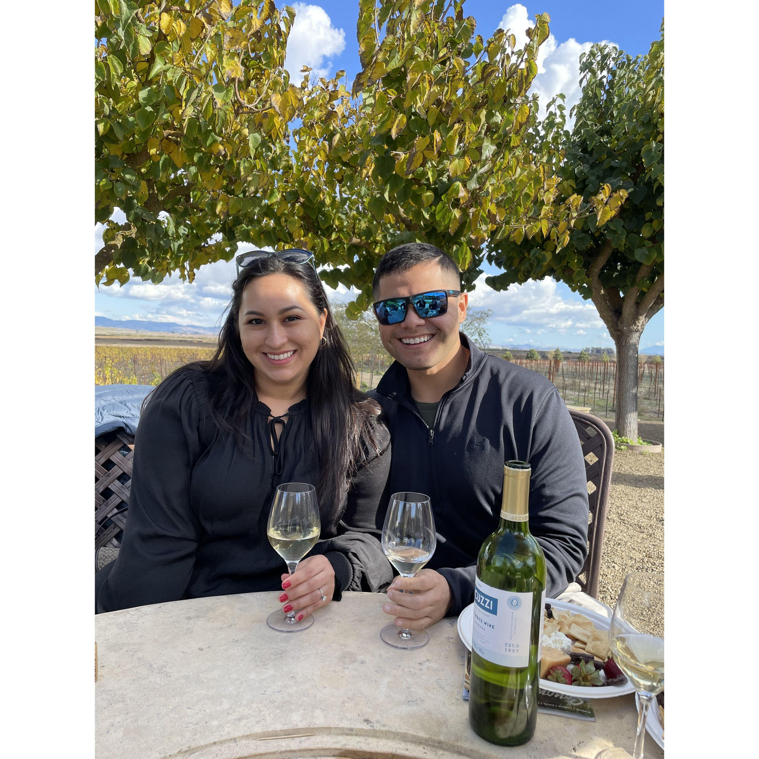 Wine tasting through Sonoma