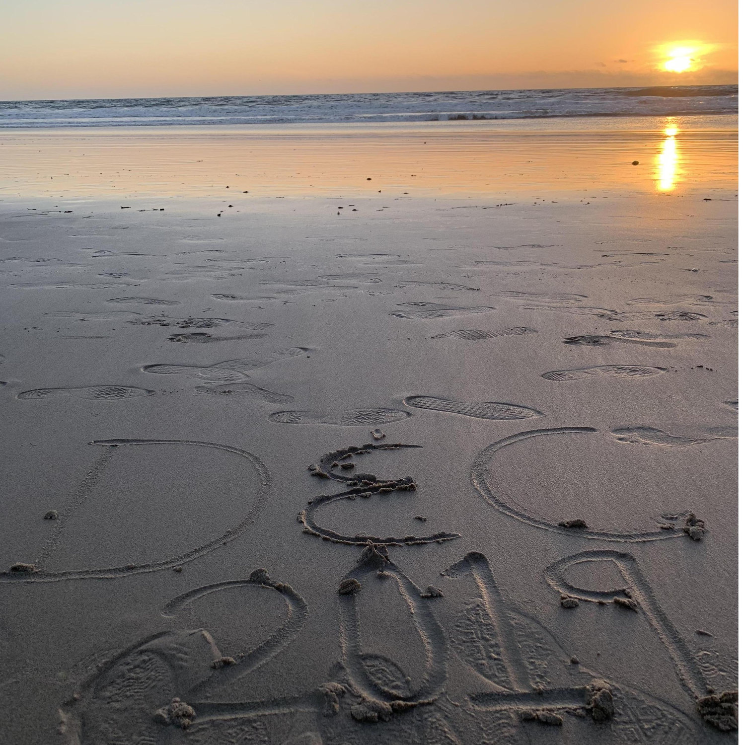 Santa Monica Beach 2019