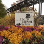 The Morton Arboretum