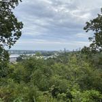 Knoop Park