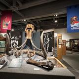 University of Alaska Museum of the North