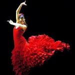 Flamenco
