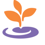 Boston Area Rape Crisis Center (BARCC)