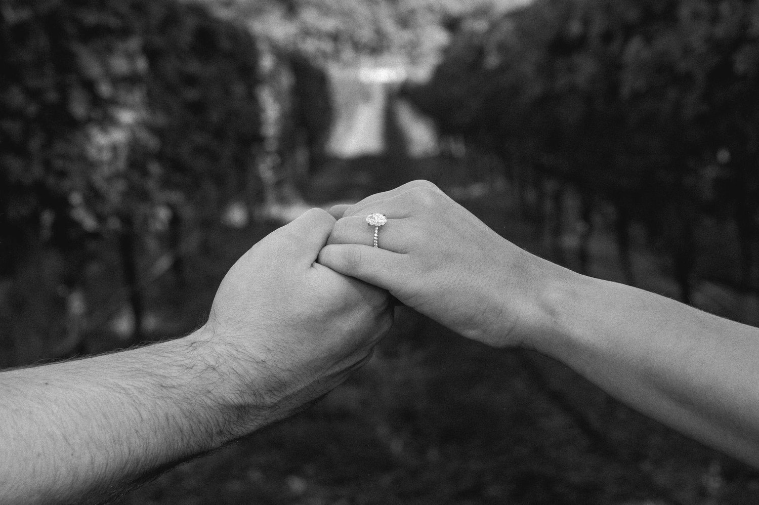 The Wedding Website of Aaron Rosenthal and Julia Finneran