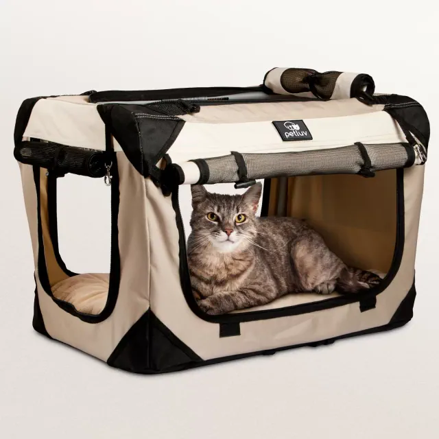 PetLuv Cat & Dog Carrier Foldable Pet Travel Crate, Removable Plush Pillow, Privacy Windows, Locking Zippers, Pocket, Seatbelt Straps, Medium Tan