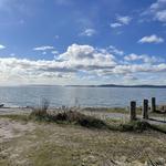 Discovery Park Beach