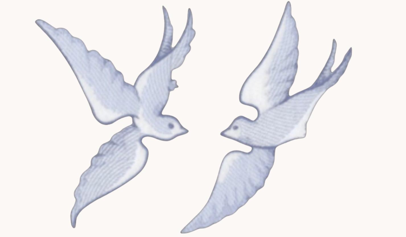 The Wedding Website of Claire Chadick and Clay Evans