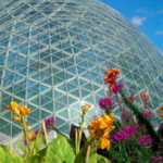 Mitchell Park Horticultural Conservatory