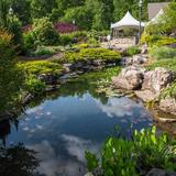 Botanical Garden of the Ozarks