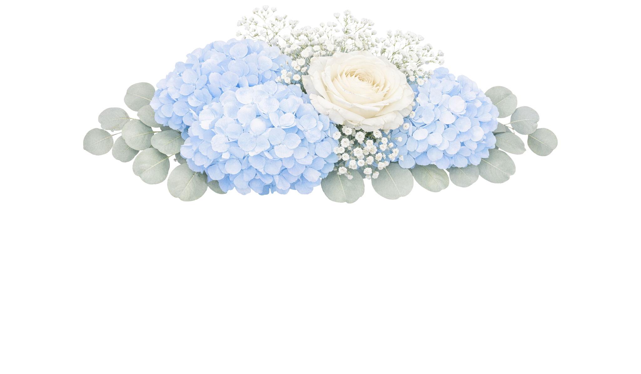 Footer image