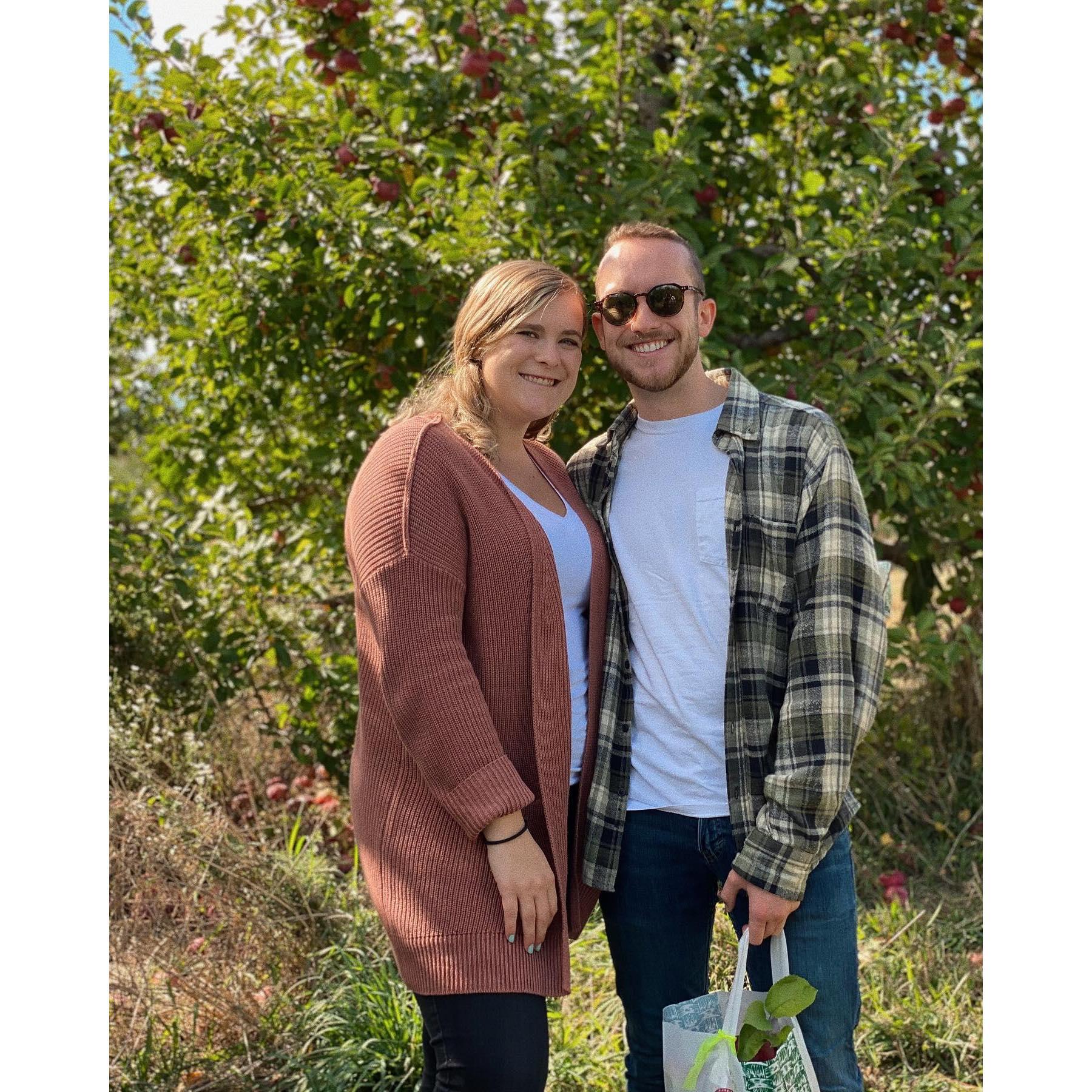 Apple Picking