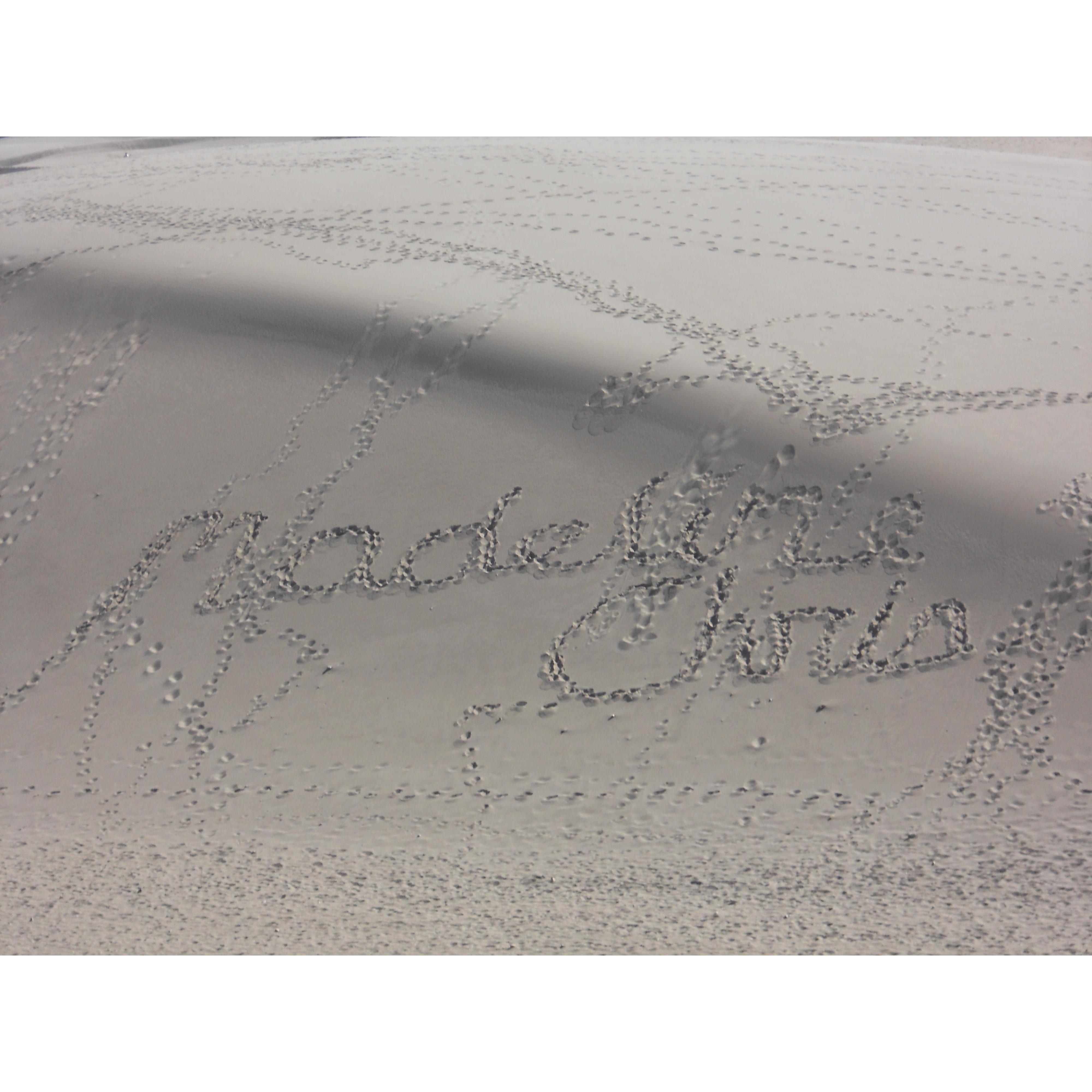 While hiking on the Great Sand Dunes in Colorado, we walked out our names in a dune, this was the field trip where we met!