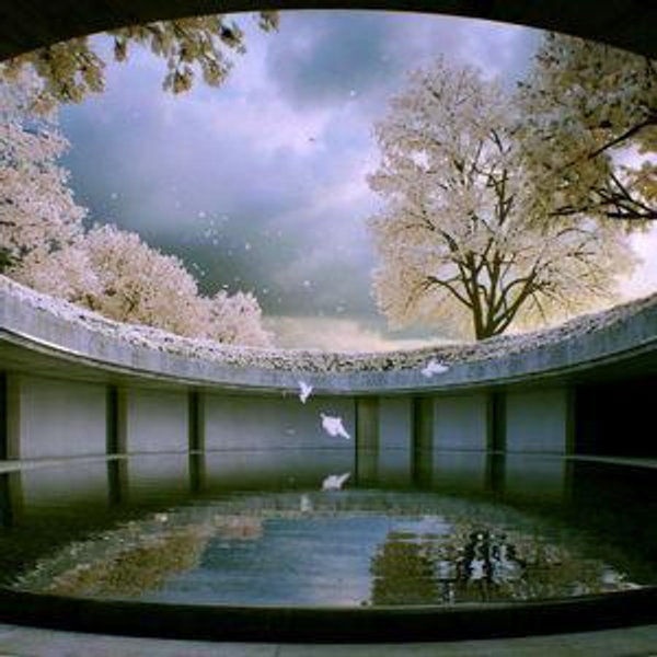 Museums in Japan (Venmo)