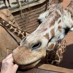 Cheyenne Mountain Zoo