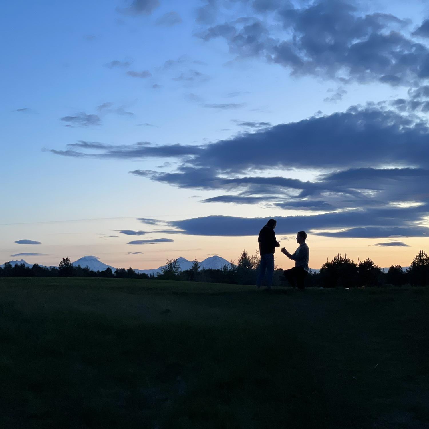 THE Proposal