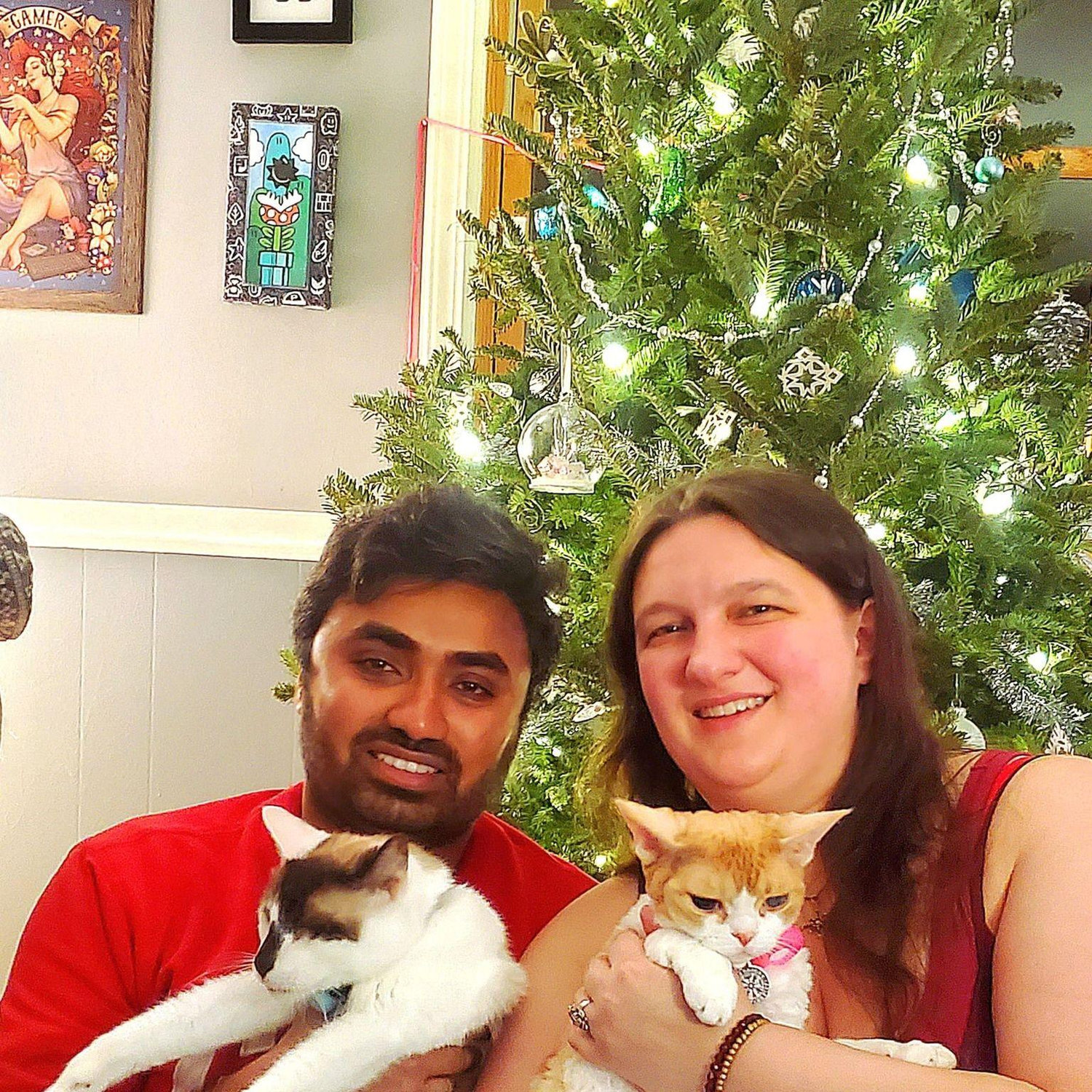 Meowy Christmas!