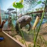 Milwaukee Public Museum