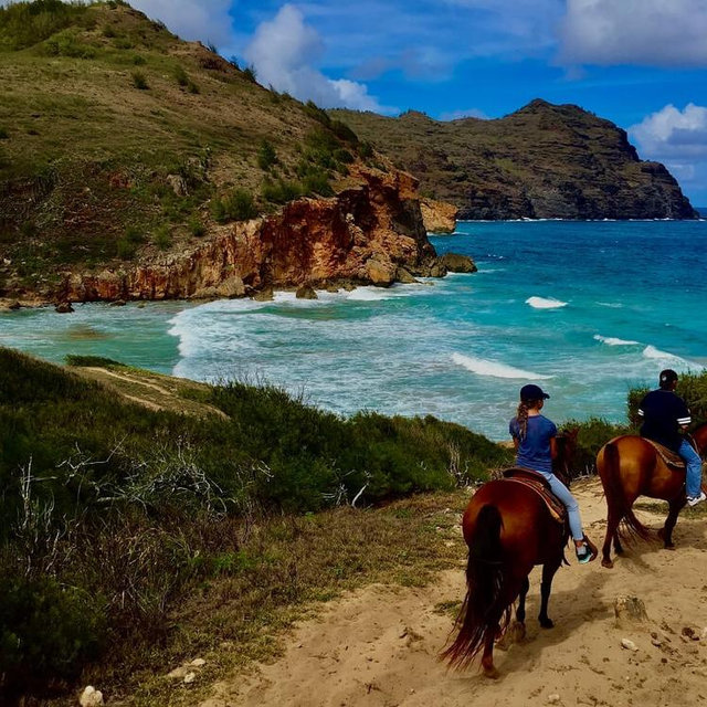Horseback riding in maui