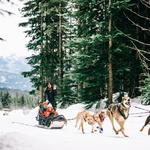 Dogsledding