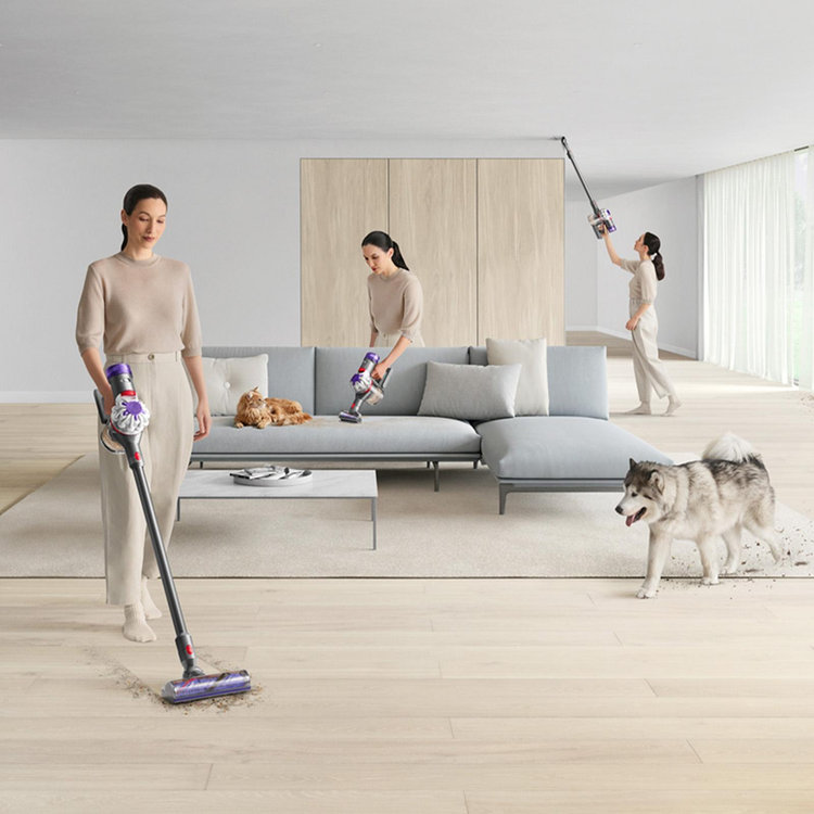 Dyson, V8 Animal Cordless Stick Vacuum | Zola