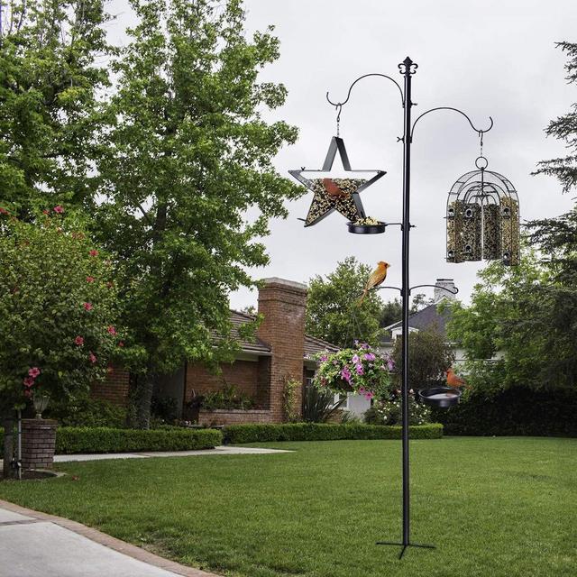 Columbia Bird Feeding Station