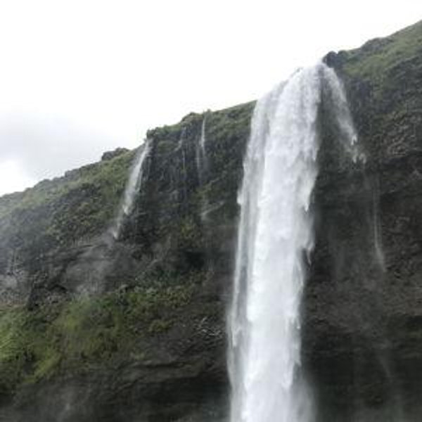 Iceland Honeymoon!!