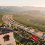 Daou Vineyards