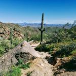 Gateway Trailhead - McDowell Sonoran Preserve