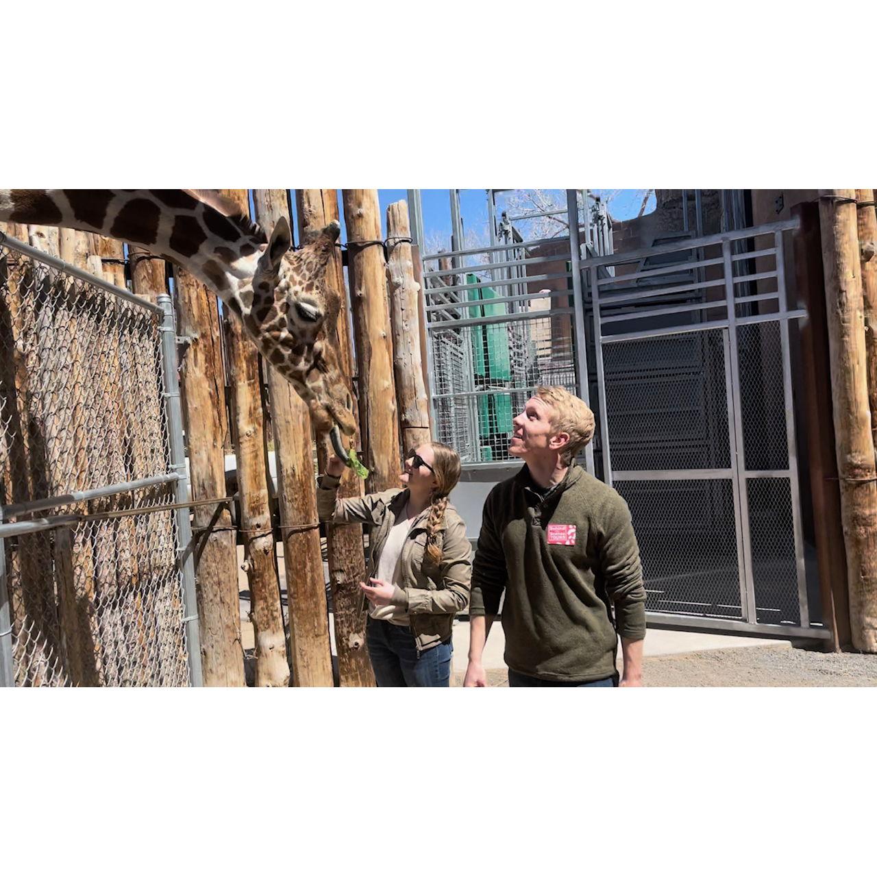 Feeding the giraffes is such a great experience and this time it was even better.